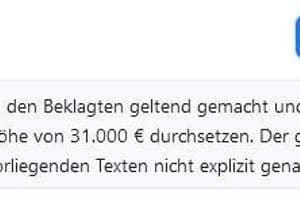 Die KI weiß zudem, dass es in dem Fall um 31.000 Euro ging. Der genaue Grund werde im Text aber nicht genannt, so das Tool.