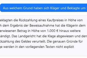 Immerhin weiß die KI zu berichten, warum sich die beiden Parteien vor Gericht gestritten haben: Die Klägerin hat den Kaufpreis von 31.000 Euro zurückverlangt.