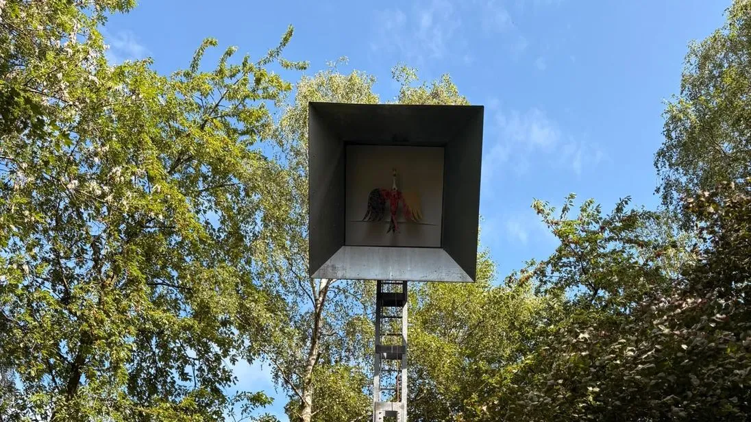 Schützenvogl im Korb in zehn Metern Höhe.