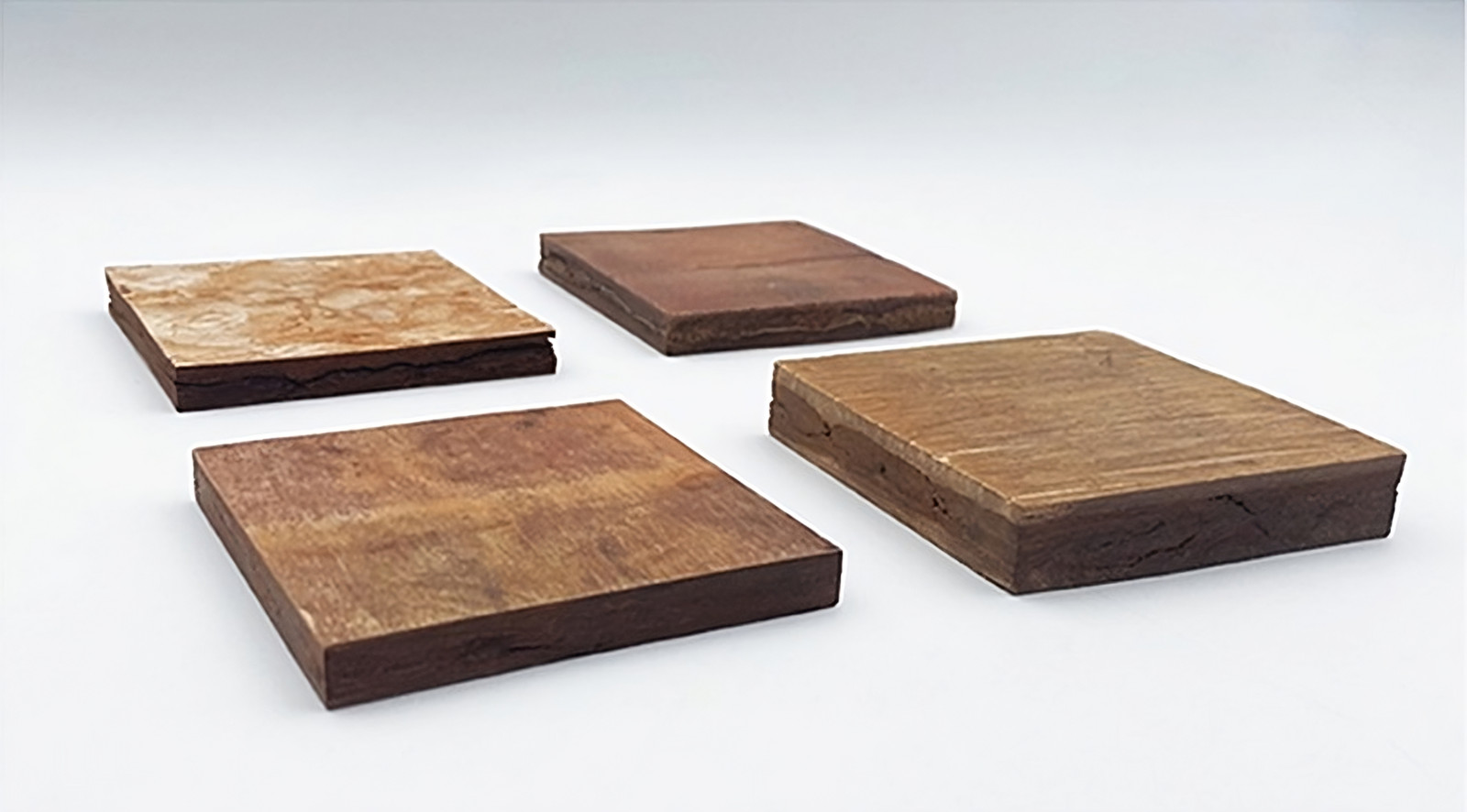 Baumrinden-Platten verschiedenen Holzes (von oben links nach unten rechts): Kiefer, Birke, Lärche, Eiche.